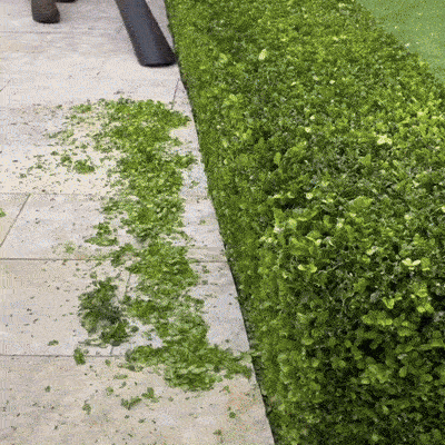 TurboLeaf čišćenje vrta animacija